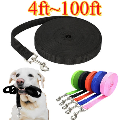 4ft-100ft Nylon Dog Leash.