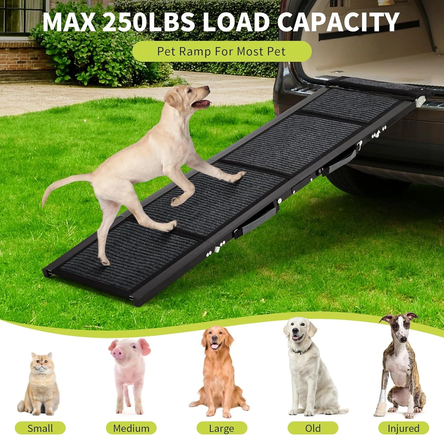 Upgraded, Folding Dog Ramp For Up To 250lbs.