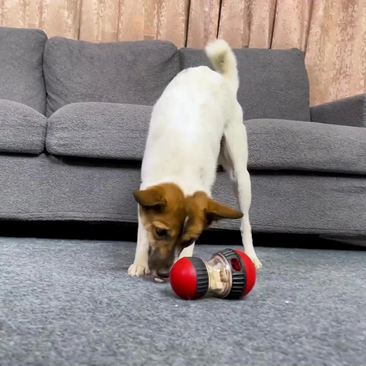 Interactive, Slow-Feeder Dog Toy.