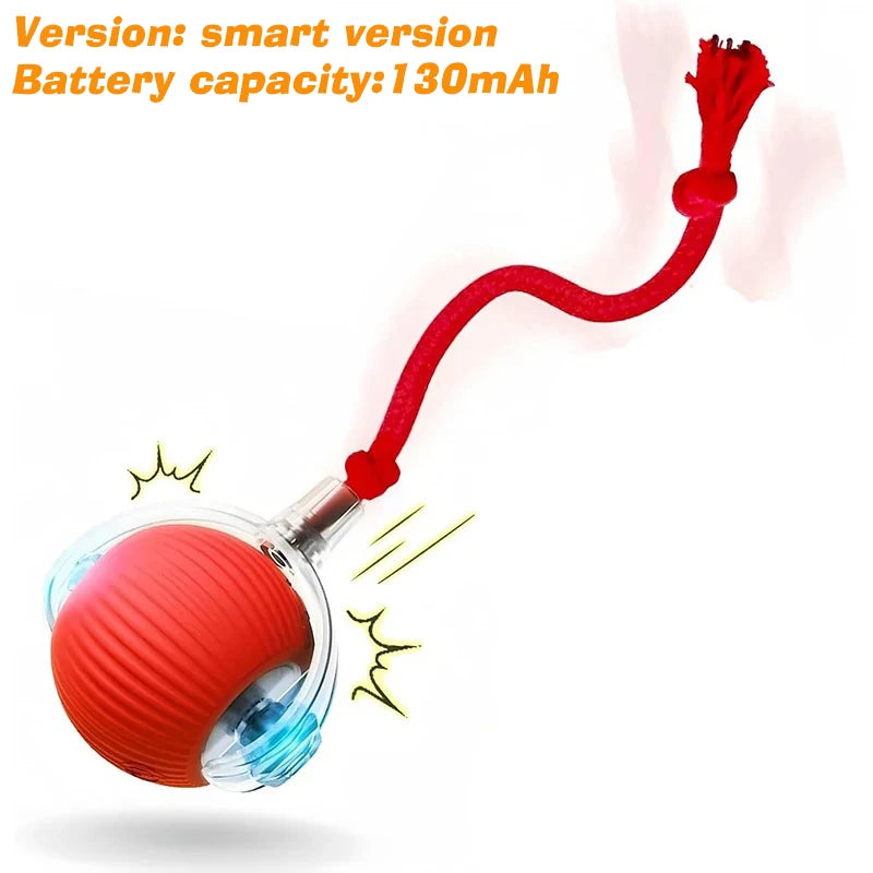 Interactive, Rechargeable, Ball Toy For Dogs & Cats