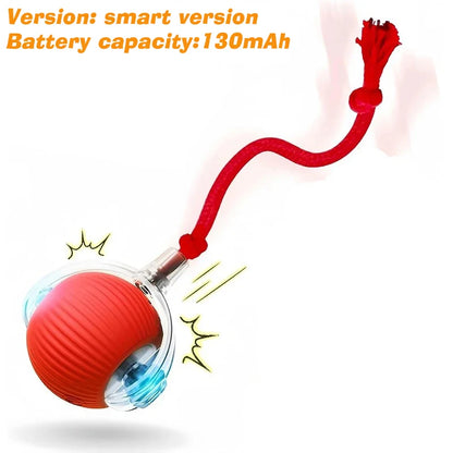 Interactive, Rechargeable, Ball Toy For Dogs & Cats