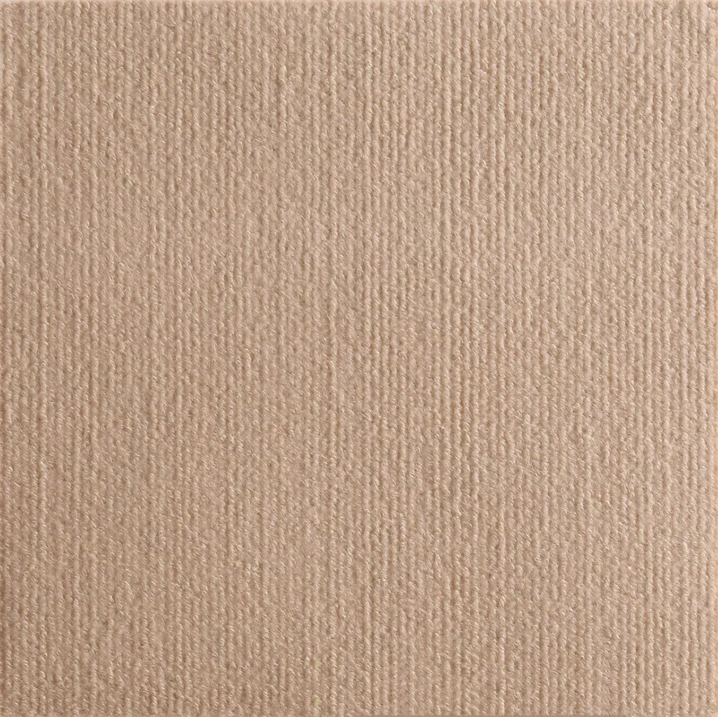 Cat Scratching Protector, Self-Adhesive, Trimmable.