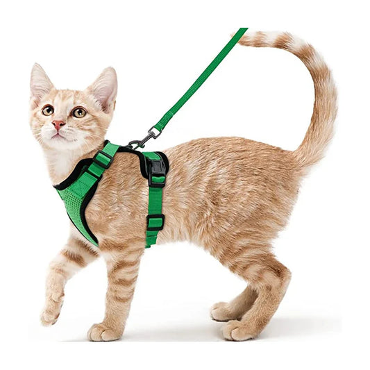 Cat Harness and Leash for Walking and Easy Control