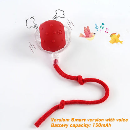 Interactive, Rechargeable, Ball Toy For Dogs & Cats
