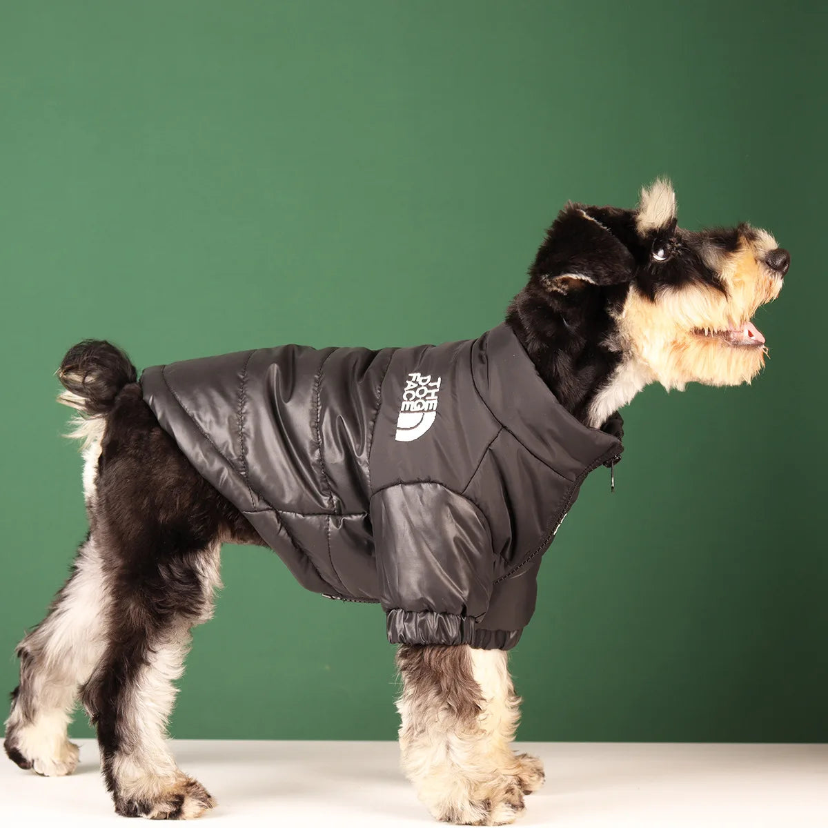 Pet Windproof & Reflective Winter Jacket