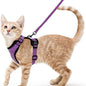 Cat Harness and Leash for Walking and Easy Control
