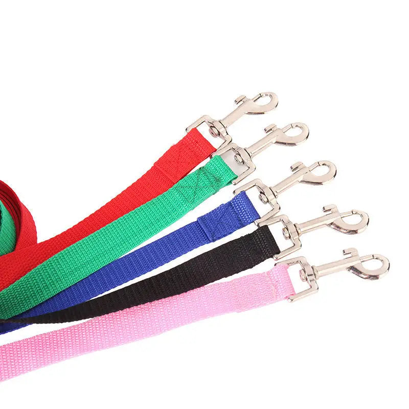 4ft-100ft Nylon Dog Leash.