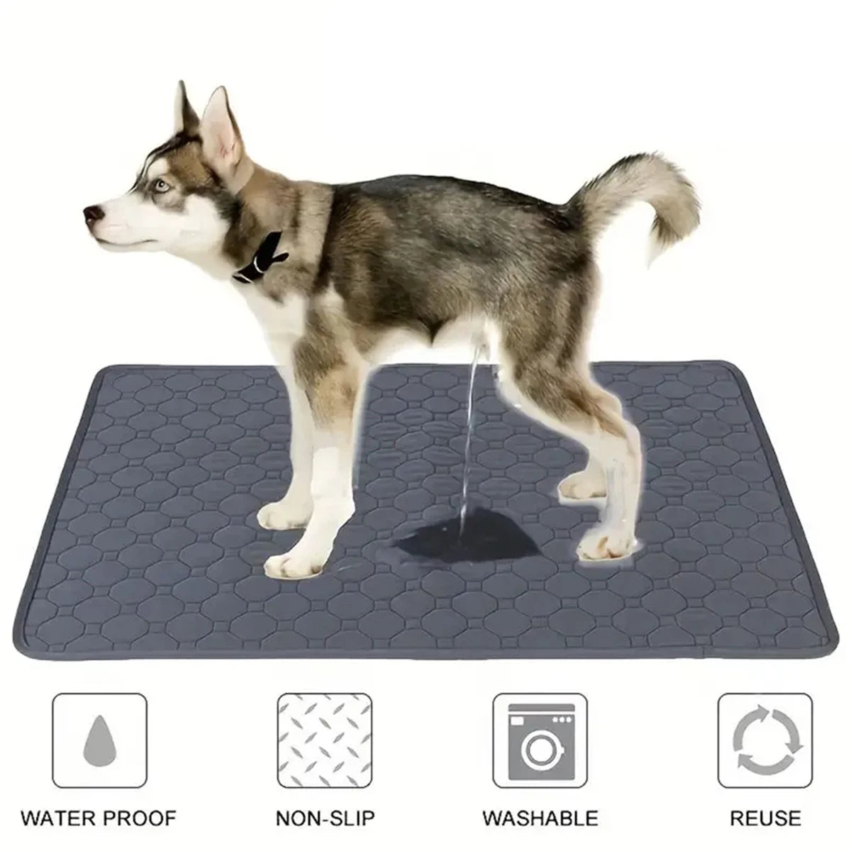 Dog Pee-Training Pad Reusable, Waterproof, Washable