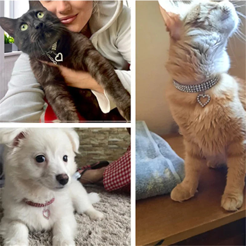 3-Row Rhinestone, Cat  or Small Dog Collar