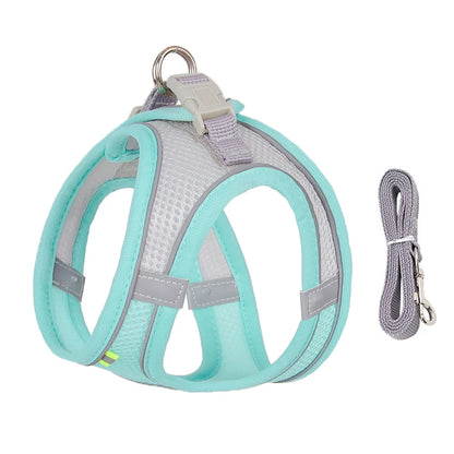 Harness & Leash Set For Small Dogs