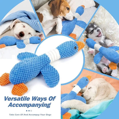 Dog Squeak Toys for Moderately Aggressive Chewers.