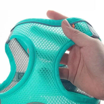 Cat & Small Dog Adjustable Harness Vest & Leash Set