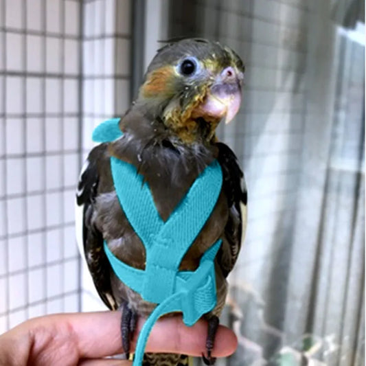 Small Parrot Bird Harness Leash Set