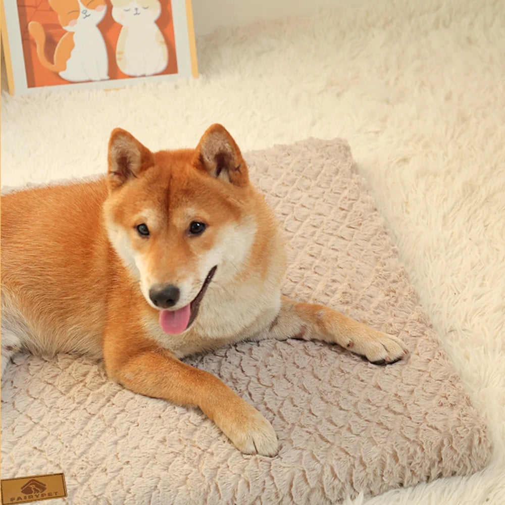 Foam Pet Pad-Bed With Washable Cover