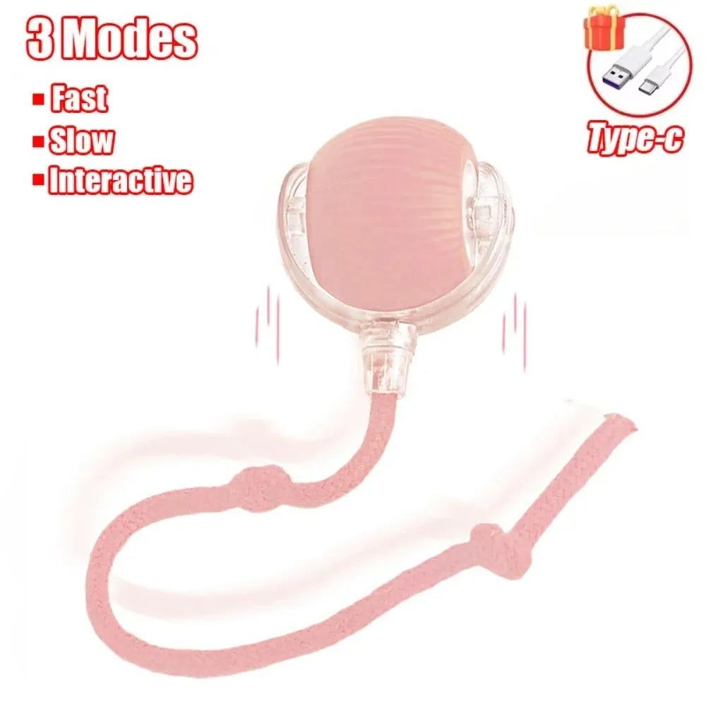 Cat Interactive Rolling Ball Toy, Rechargeable