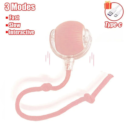 Cat Interactive Rolling Ball Toy, Rechargeable