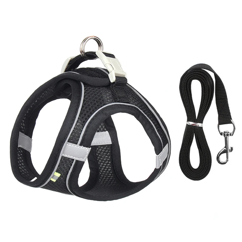 Harness & Leash Set For Small Dogs