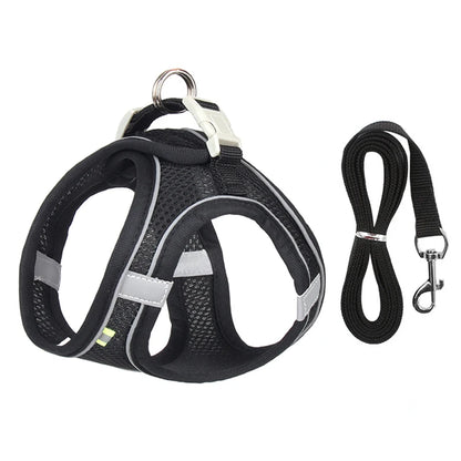 Harness & Leash Set For Small Dogs