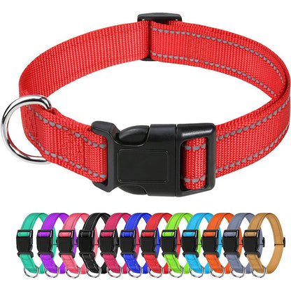 Dog Collar, Reflective, Many Color Varieties