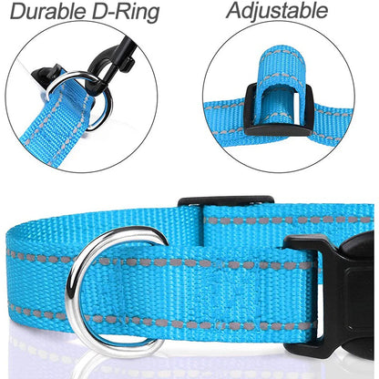 Dog Collar, Reflective, Many Color Varieties