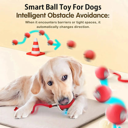 Interactive, Rechargeable, Ball Toy For Dogs & Cats