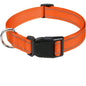 Dog Collar, Reflective, Many Color Varieties