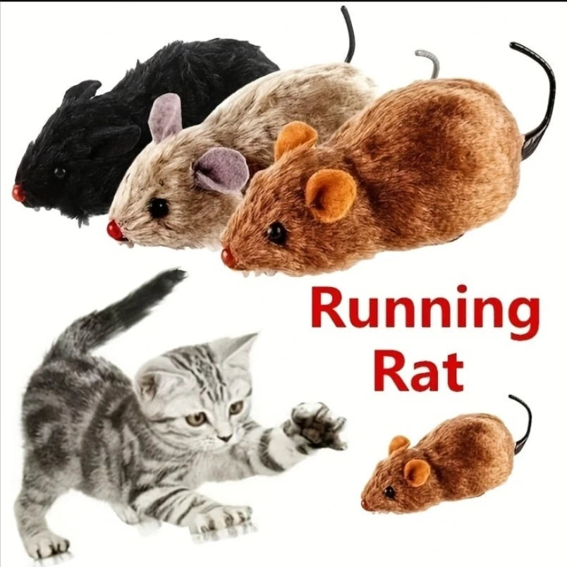 Funny Plush Toy for Cats , Random-Color