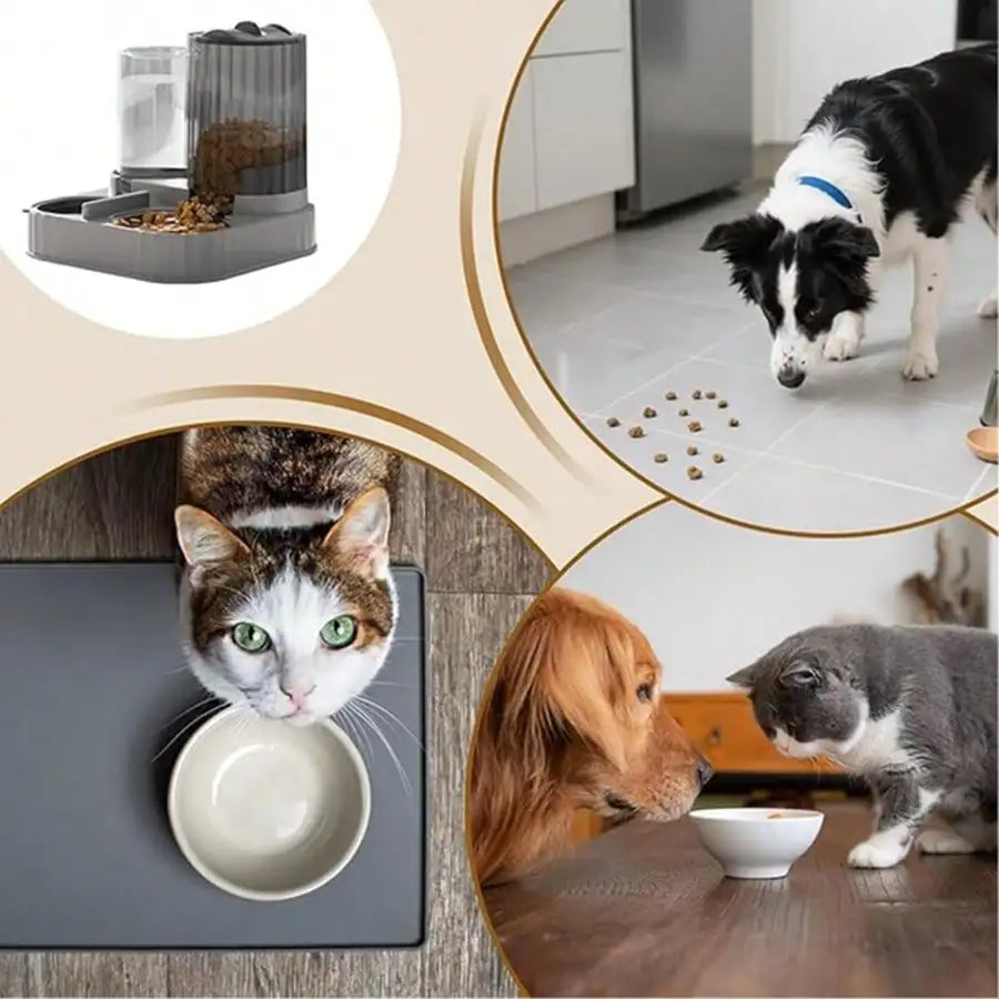 Dog And Cat 2 -in-1 Automatic Feeder And Waterer