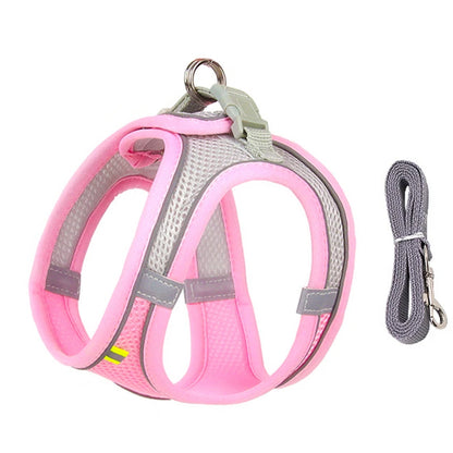 Harness & Leash Set For Small Dogs
