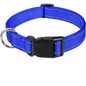 Dog Collar, Reflective, Many Color Varieties