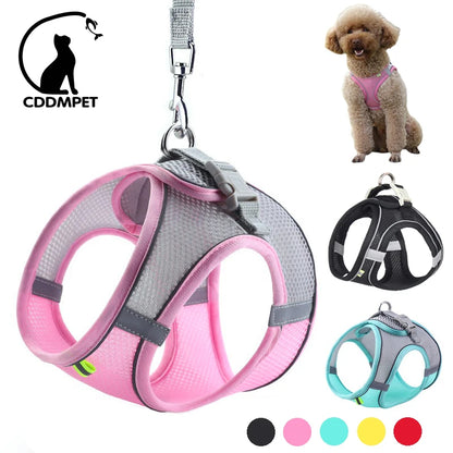Harness & Leash Set For Small Dogs