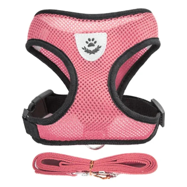 Cat, Small Puppy, Harness Vest & Lead