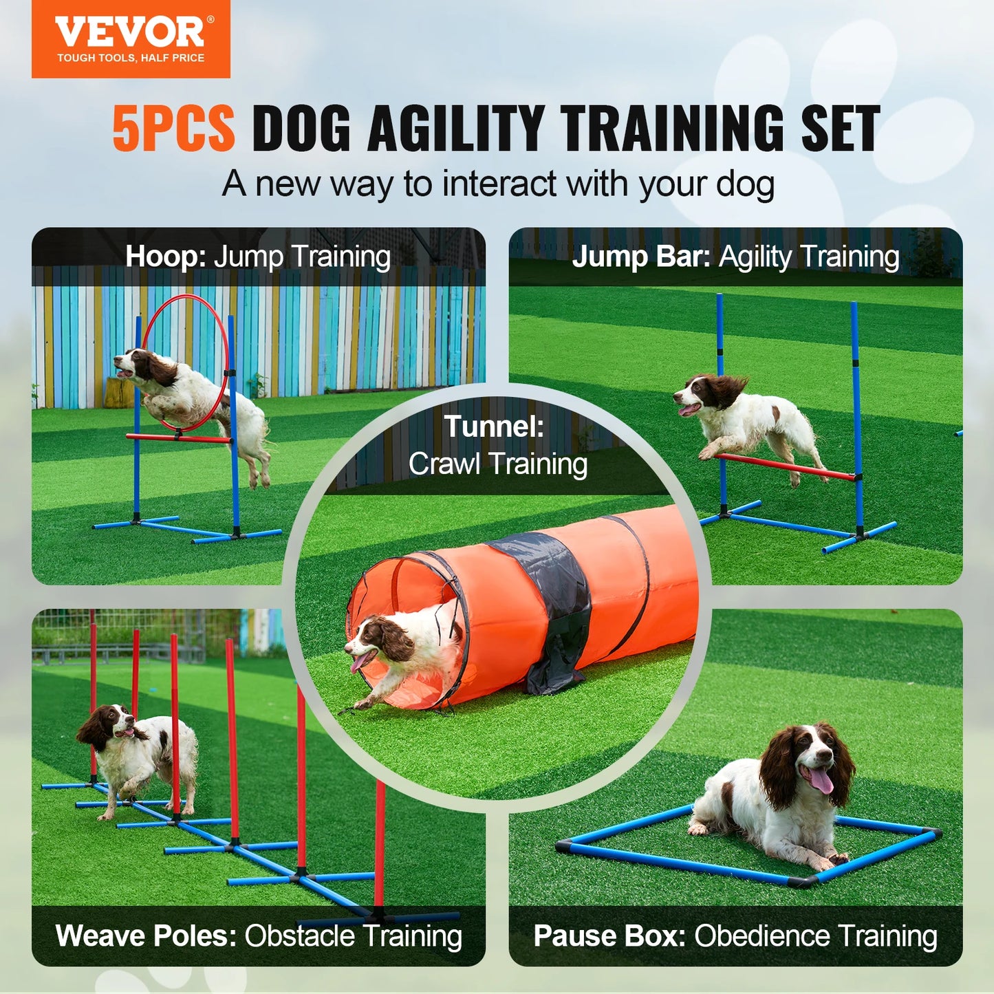 Dog Agility Training Equipment 5PCS Set With Bag