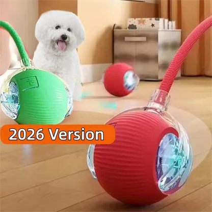 Interactive, Rechargeable, Ball Toy For Dogs & Cats
