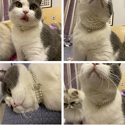 Luxury Pearl Rhinestone Collar For Cats & Small Dogs