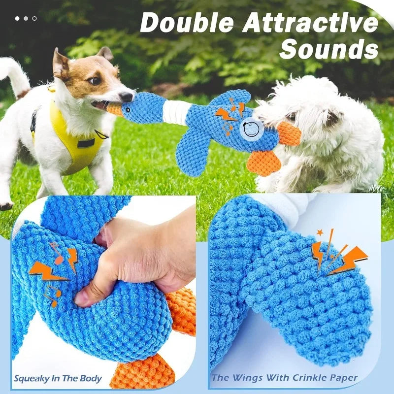 Dog Squeak Toys for Moderately Aggressive Chewers.