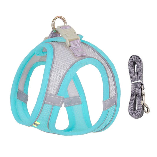Harness & Leash Set For Small Dogs