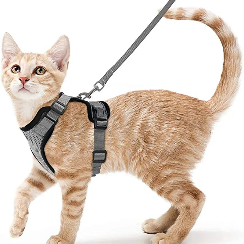 Cat Harness and Leash for Walking and Easy Control