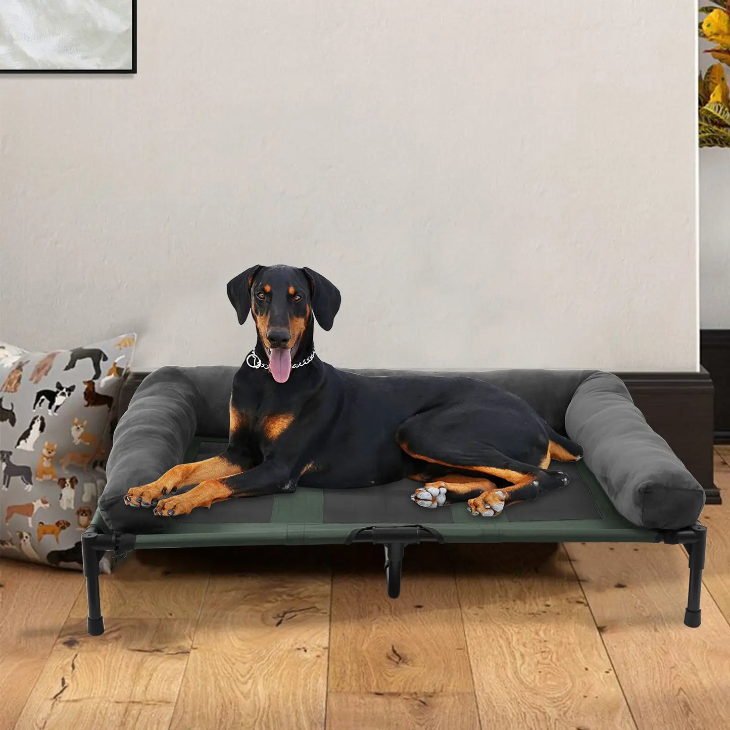 Elevated Bed for Dogs and Cats With Detachable Plush Bolster Cooling  Summer L XL 2XL