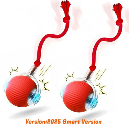 Interactive, Rechargeable, Ball Toy For Dogs & Cats