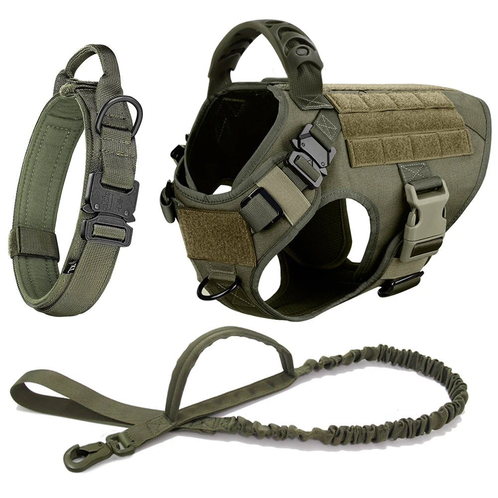 Large Dog Harness. Optional Collar & Leash